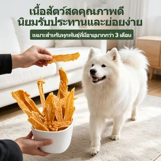 BABAYATE เนื้อไก่และเป็ดแบบแท่ง ไม้แทะสำหรับสุนัข คงทน อุดมโปรตีน ขนมช่วยดูแลฟัน ไร้กลิ่น ทุกสายพันธุ์