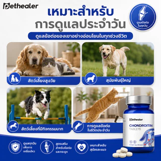 PETHEALER Chondroitin Tablets อาหารเสริมข้อต่อและกระดูกสำหรับสุนัขและแมว ดูแลการเคลื่อนไหว สัตว์เลี้ยงสูงวัย 105g ประมาณ 350 เม็ด
