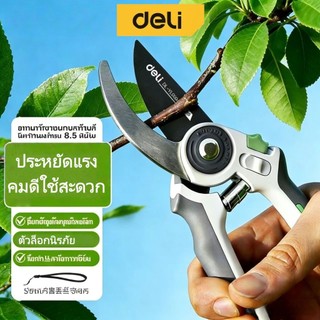 กรรไกรตัดแต่งกิ่งที่มีประสิทธิภาพ การทําสวน กรรไกร สาขา การตัดแต่งกิ่งดอกไม้พิเศษ ดอกไม้ สวน กรรไกรต้นไม้ผลไม้ การตัดแต่งกิ่งดอก ผล ในครั