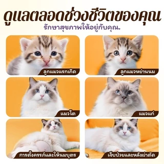 Hegen Pet นมแพะธรรมชาติสําหรับสุนัขและแมว – ทดแทนนมคุณภาพสูงสําหรับสัตว์เลี้ยง | นมแพะผสมสําหรับแมวและสุนัขอาหาร