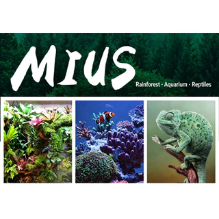 ตกแต่ง aquarium terrarium สเปรย์โฟมทำหินเทียม สเปรย์สร้างหินเทียม ฉากหลังตู้ปลา มีใMius PU Foam พียูโฟมสำหรับตกแต่งเลย์เอาท์ Terrarium ตู้ปลูกต้นไม้หรือตู้เลี้ยงสัตว์ ตัวโฟมสีเทา ขนาด 900 กรัม