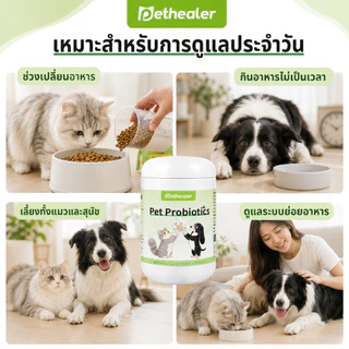 PETHEALER ขนมเม็ดสัตว์เลี้ยงรสไก่ 300g โปรไบโอติกสำหรับสุนัขและแมว กินง่าย ดูแลลำไส้ประจำวัน พร้อมส่งไทย
