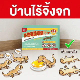 🚫🦎ไม่มีจิ้งจกนาน 50 ปี🦎🚫 Hb ยาฆ่าจิ้งจก ยาฆ่าตุ๊กแก ไล่จิ้งจก 1 กล่อง 24 เม็ด ฆ่าตุ๊กแก ไล่ตุ๊กแก ยาไล่ ล่อแมลงได้อย่างทรงพลัง อัตราการกำจัดสูงถึง 99.99%