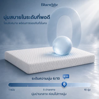 BlueWhite ที่นอนเมมโมรี่โฟม หนา4นิ้ว ระบายอากาศดี เย็น รองรับสรีระ ลดแรงกดทับ 3/4/5/6ฟุต อพาร์ตเมนต์ COD