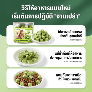 😻หญ้าแมวฟรีซดราย🌿หญ้าแมวอัดแท่ง ขนมหญ้าแมว630G แมวฟรีซดรายผสมอกไก่ ขนมแมวฟรีซดราย