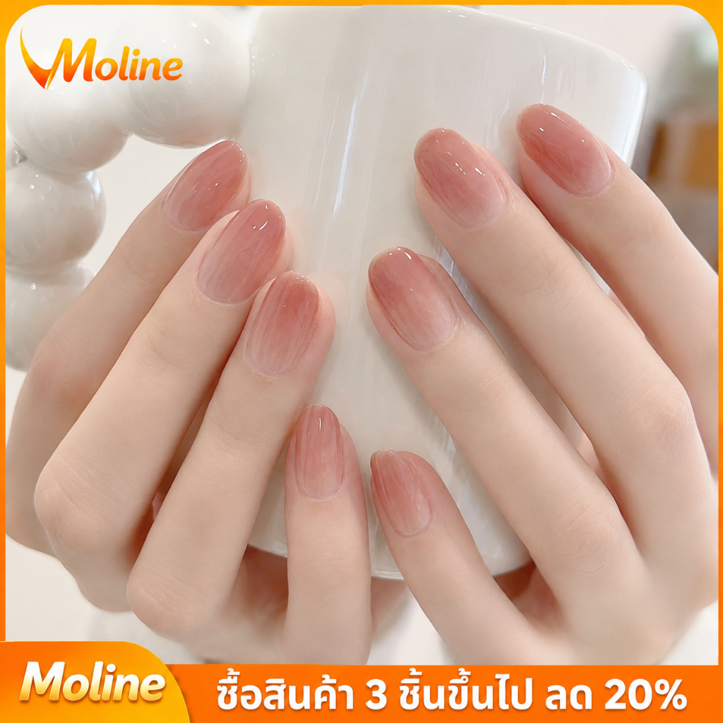 24ชิ้นเล็บปลอมสำเร็จรูปไล่เฉดสีบลัชInsGradientPressOnNails