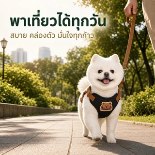 [Novepet] ชุดสายรัดอกสุนัขพร้อมสายจูง Dog Harness ปรับได้ ระบายอากาศ ไม่รัดคอ ลดแรงดึง สำหรับสุนัขเล็ก-กลาง พร้อมส่งจากไทย