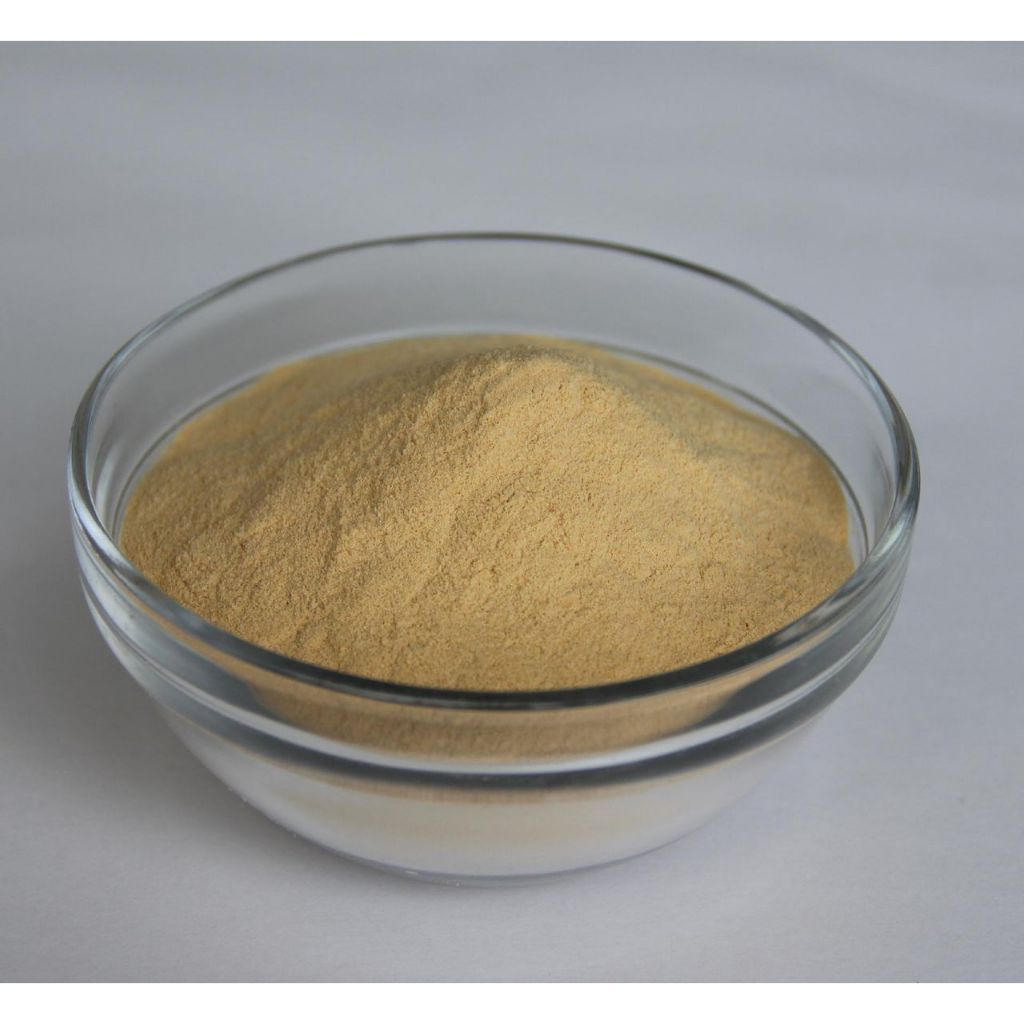 YEAST EXTRACT POWDER ( Bright Sunlight ) - 100G, 250G, 500G