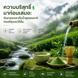 EU matcha มาตรฐานยุโรป ชาเขียวมัทฉะเกรดพิธีการ - มัทฉะ pure รับรองฮาลาล matcha เกรดพิธี 50g
