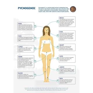 ของแท้ 100% Healthy Origins Pycnogenol 100 มก. French Pine Bark Antioxidant Gluten Free Skin SupportBuy 1 ฟรี 1
