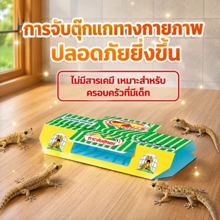 🦎ติดแล้วหนีไม่พ้น🦎แผ่นกาวดักจิ้งจก กำจัดจิ้งจก บ้านดัก ไล่จิ้งจก 1 กล่อง มี 5 แผ่น ดิ้นยังไงก็ไม่หลุด