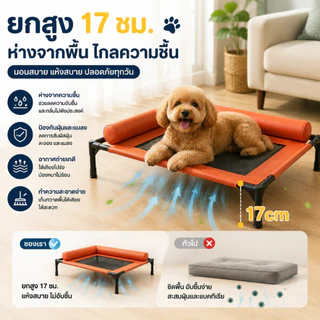 เตียงสัตว์เลี้ยง ยกสูง 17cm เตียงสุนัข เตียงแมว ผ้า Teslin ระบายอากาศดี กันชื้น ทำความสะอาดง่าย หมอน L Shape