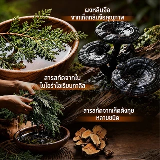 SEVICH สบู่แชมพูดํา 120ก Natural Hair Wash Bar สบู่สมุนไพรธรรมชาติป้องกันผมร่วงและสบู่ตัวแทนเสริมสร้างเส้นผม