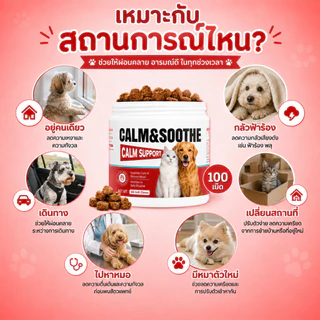 Love Pet Prosper เม็ดเคี้ยวคลายเครียดสุนัขและแมว ผสมคาโมมายล์ ช่วยให้สงบ ลดความกังวล ผ่อนคลายอารมณ์ ช่วยให้นอนหลับง่าย 100 เม็ด