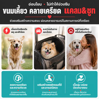 Love Pet Prosper เม็ดเคี้ยวคลายเครียดสุนัขและแมว ผสมคาโมมายล์ ช่วยให้สงบ ลดความกังวล ผ่อนคลายอารมณ์ ช่วยให้นอนหลับง่าย 100 เม็ด