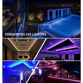 【หุ้นท้องถิ่น】ไฟเส้น LED นีออน Neon Strip Light ควบคุมผ่าน APP และรีโมท เปลี่ยนสีได้ กันน้ำ ไฟแต่งห้อง