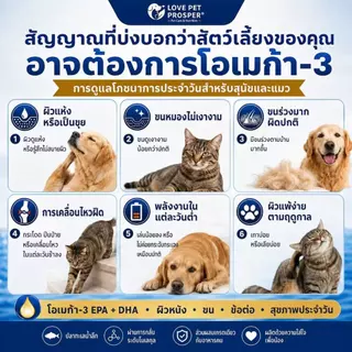 Love Pet Prosper น้ำมันปลา Omega 3 สำหรับสุนัขและแมว แคปซูลน้ำมันปลา ดูแลผิวและขน เสริมการดูแลประจำวัน 80 เม็ด พร้อมส่งไทย เก็บเงินปลายทาง