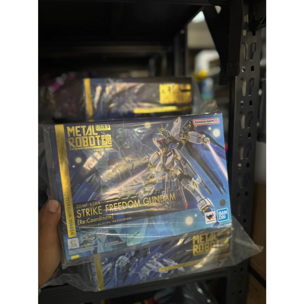 Bandai METAL ROBOT MR Spirits Strike Freedom Gundam Re:Coordinate Action Figure