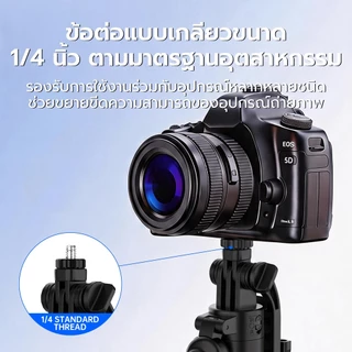 AVIUDS RX20 ไม้เซลฟี่แบบขาตั้ง 1.83m รีโมทบลูทูธในตัว หมุน360° คลิกเดียว ป๊อปอัพอัตโนมัติ รองรับการติดตั้งด้วยสกรูขนาด 1/4 นิ้ว และการใช้งานกลางแจ้ง vlog