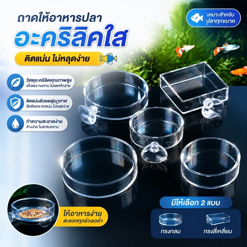 CozyNest 🔥พร้อมส่ง🔥 ที่ให้อาหารปลาอะคริลิคใส Aquarium Feeder กล่องอาหารปลาและกุ้ง แบบกลม/สี่เหลี่ยม อุปกรณ์ตู้ปลา ป้องกันอาหารกระจาย
