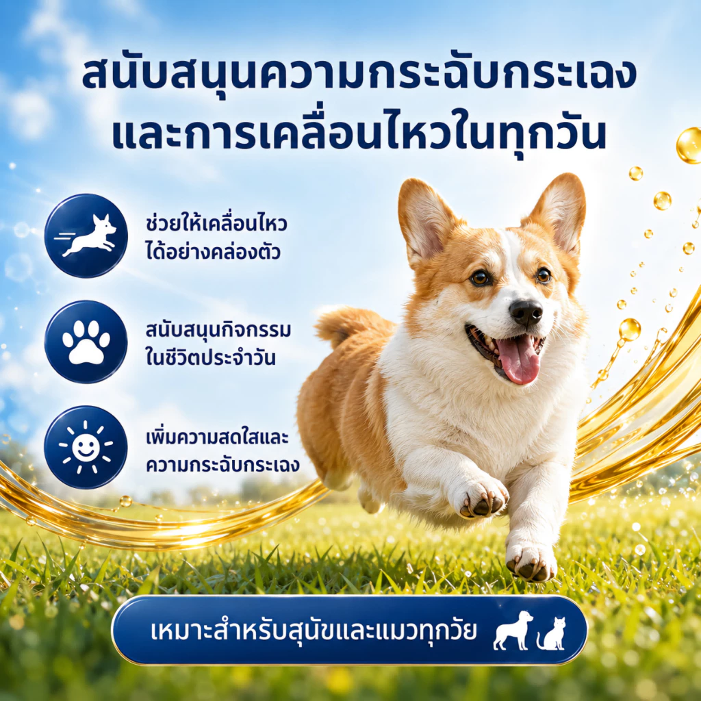 【🔥ราคาพิเศษสินค้าใหม่】PEVVO PET น้ำมันปลาแซลมอน 99% สำหรับสุนัขและแมว บำรุงขนผิวหนัง ลดขนร่วง ผิวแห้งคัน เสริมโภชนาการทุกมื้อ Omega-6 วิตามินอี 300ml พร้อมปั๊ม thumbnail 5