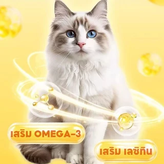 PETLUSCI® ขนมแมวเลีย 50/100ซอง ขนมแมว อาหารเปียกแมว 3 รสชาติ อร่อยและมีคุณค่าทางโภชนาการ รสชาติอร่อยถูกใจน้องแมว