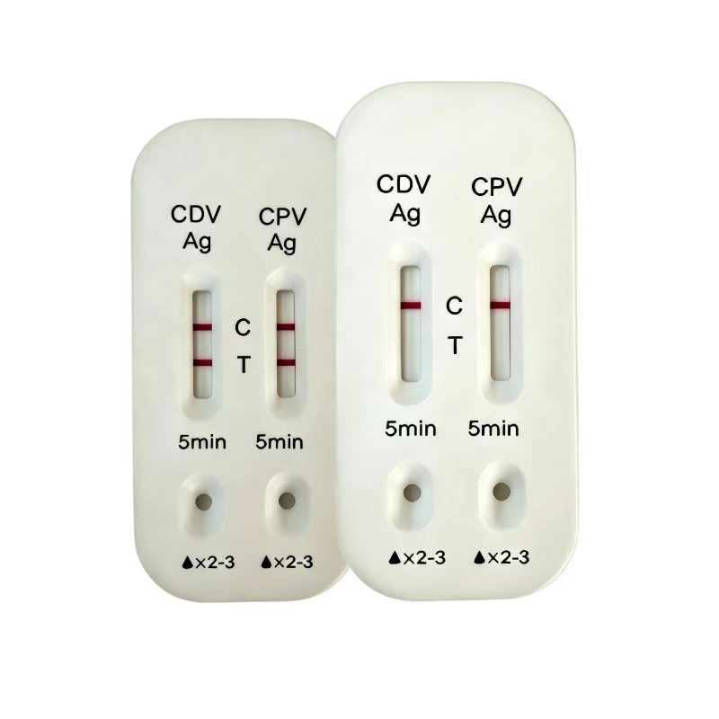 การ์ดตรวจ 2 อย่าง CDV CPV ไวรัสดิสเทมเปอร์และปาร์โวไวรัสสุนัข สำหรับลูกสุนัข อาเจียน ท้องเสีย 2-in-1