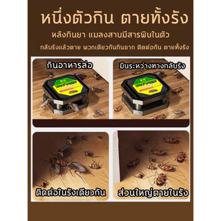 💥แมลงสาบหมดทั้งรัง💥ฆ่าแมลงสาบ ที่ดัก ออกแบบปลอดภัย ไร้กังวลคนและสัตว์ กับดัก ยา ยาฆ่าแมลงสาบ