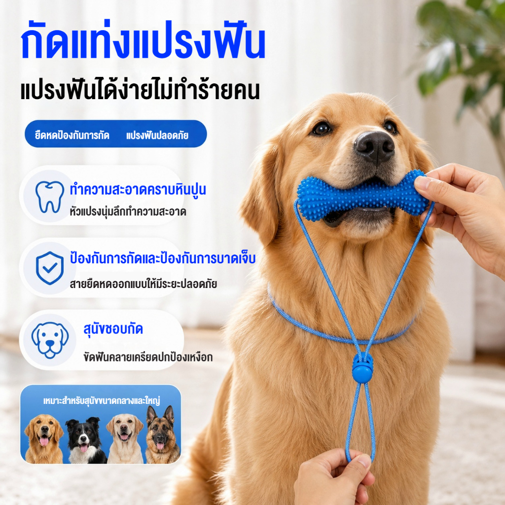 แท่งเคี้ยวทําความสะอาดฟันสําหรับสัตว์เลี้ยงขายดี