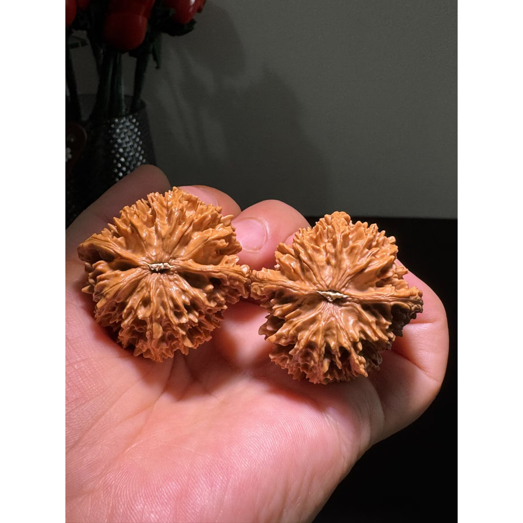 [Dragon Kwai-41] All-Pin Dragon Kwai Hemp Walnuts Premium Wenwan Walnuts, Niche Wenwan Walnuts, Deep