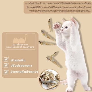 PETLUSCI® ขนมแมว ปลาแมว โปรตีนสูง ไม่เค็ม ปลอดภัยต่อไต ขนาด 50 กรัม ใหม่ทุกวัน ไม่ใส่สารกันเสีย สุนัขก็ชอบทาน