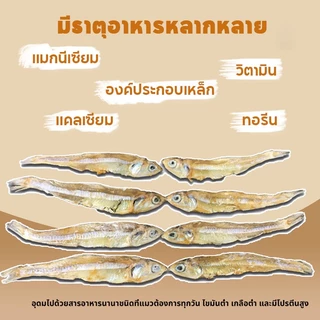 PETLUSCI® ขนมแมว ปลาแมว โปรตีนสูง ไม่เค็ม ปลอดภัยต่อไต ขนาด 50 กรัม ใหม่ทุกวัน ไม่ใส่สารกันเสีย สุนัขก็ชอบทาน
