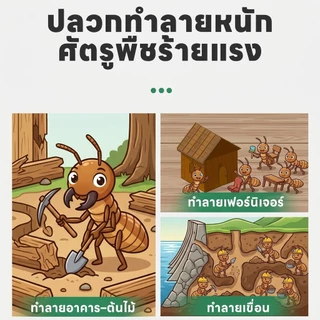 🐜30 ปีไม่มีปลวก🐜FY น้ำยาฉีดปลวก ยาฉีดปลวก ยากำจัดมด 500ml กำจัดมด ผลิตภัณฑ์ป้องกันและกำจัด มอด มดและแมลงสาบ