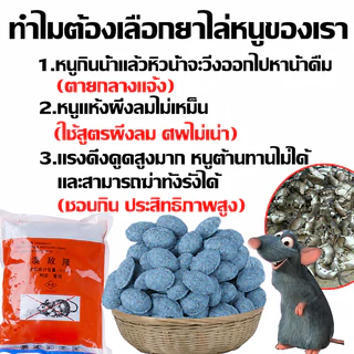 ยากําจัดหนู เหยื่อไล่หนู ฆ่าหนูได้ 10,000 ตัว 1 ห่อ 250g