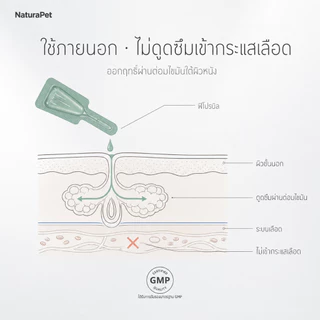 ธรรมชาติ แมว สุนัข ใช้หยดเห็บหมัด เห็บดูแล หมัดและไร ข้อมูลจําเพาะต่างๆ มี (1/3/12 ชิ้น) แพ็คเกจรวมมูลค่าสูง