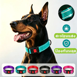ปลอกคอสุนัขสะท้อนแสง ป้องกันหลุด ล็อคแน่น ปรับขนาดได้ แข็งแรง สำหรับสุนัขทุกสายพันธุ์