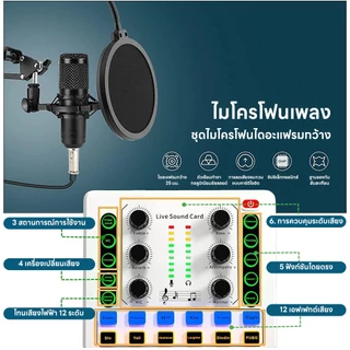 INSMART ชุดการ์ดเสียง มัลติฟังก์ชั่น ลดเสียงรบกวนอัจฉริยะ สําหรับไลฟ์สด บันทึกเสียง พอดแคสต์ YouTube