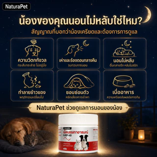 อาหารเสริมเม็ดเคี้ยวคลายเครียดสูตรคาโมมายล์สำหรับสุนัขและแมว ดูแลความผ่อนคลายและสมดุลทางอารมณ์ กินง่าย มีหลายขนาดให้เลือก NaturaPet
