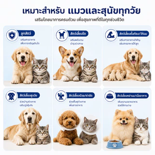 Love Pet Prosper นมแพะผงสำหรับสุนัขและแมว อาหารเสริมสัตว์เลี้ยง นมแพะสำหรับลูกสุนัขลูกแมว ชงง่าย ละลายน้ำง่าย โภชนาการทุกวัย 310 กรัม🐑