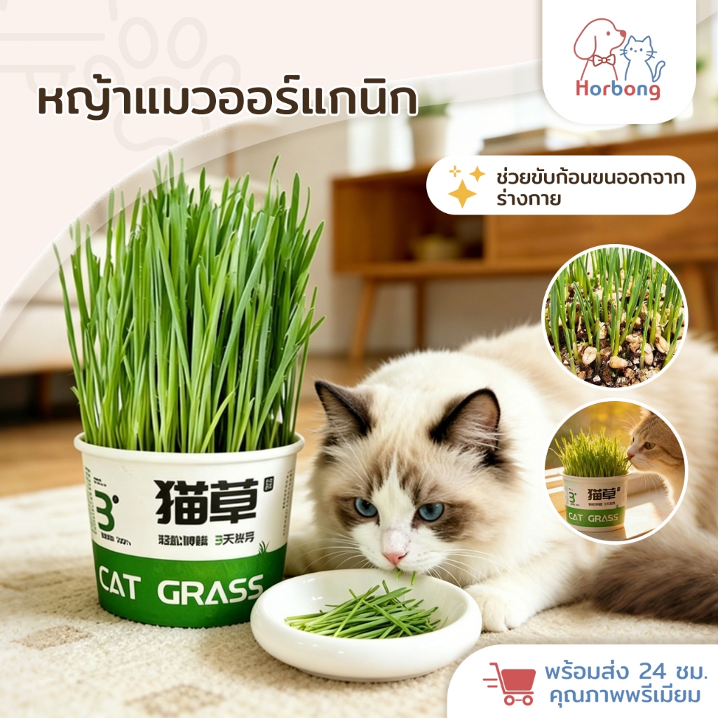 【Horbong Pets】หญ้าแมว ออร์แกนิค ต้นข้าวสาลี สำหรับสัตว์เลี้ยง เมล็ดข้าวสาลี อัตราการงอกสูง ง่ายต่อการใช้ ไม่ต้องใช้ดิน