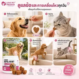 Love Pet Prosper อาหารเสริมบำรุงข้อและกระดูกสำหรับสัตว์เลี้ยง ขนมเสริมแคลเซียม สำหรับสุนัขและแมว 100 เม็ด