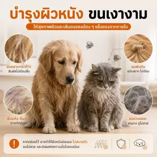 Love Pet Prosper น้ำมันปลาโอเมก้า 3 สำหรับสุนัขและแมว ขนมเคี้ยวบำรุงผิวและขน Omega 3 Fish Oil ดูแลขนเงางาม เคี้ยวง่าย 100 เม็ด