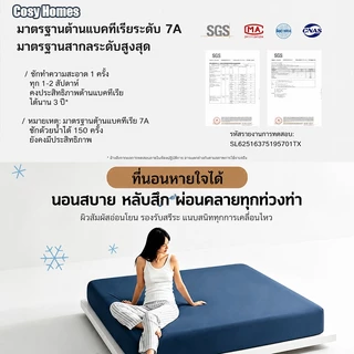 Cosy ผ้าปูที่นอน 6/5ฟุต/3.5ฟุต/3ฟุต พร้อมส่ง สีพื้น กันไรฝุ่น รัดมุมรอบเตียง360องศา สูง10นิ้ว+ปลอกหมอน