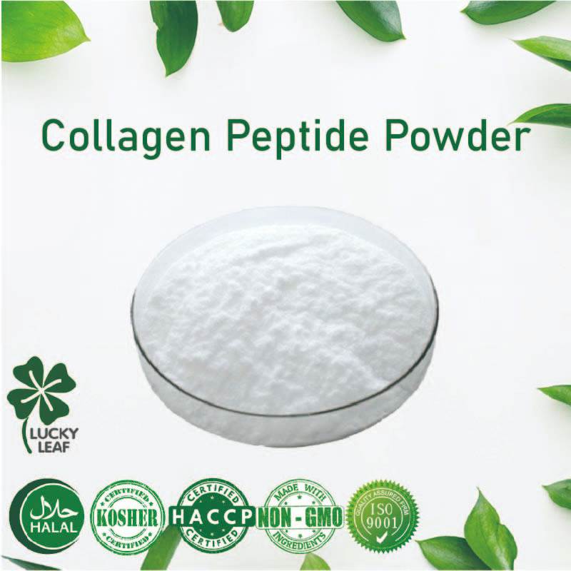 Bovine Collagen Peptide Powder/จากกระดูกเนื้อ