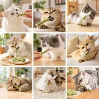 Love Pet Prosper หญ้าแมวฟรีซดราย ขนมหญ้าแมว หญ้าแมวอัดแท่ง ช่วยขับก้อนขน ขัดฟัน เคี้ยวเพลิน สำหรับแมว 15 ชิ้น