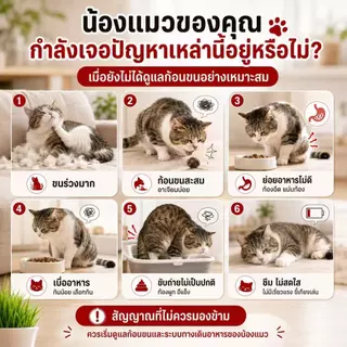 Love Pet Prosper เจลดูแลก้อนขนสำหรับแมว ผสมโพรไบโอติก ดูแลลำไส้และระบบย่อยอาหาร ช่วยการขับถ่าย อาหารเสริมแมว 130 กรัม