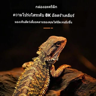 🦎ตู้เลี้ยงสัตว์เลื้อยคลานอะคริลิก ตู้ภูมิประเทศทะเลทราย ตู้น้ำบก สำหรับตุ๊กแก จิ้งจอก งู กบเขา เหมาะสัตว์ปีนต้นไม้ ตกแต่งระบบนิเวศ