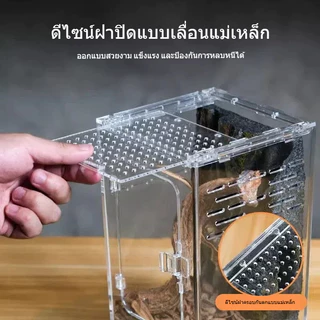 🦎ตู้เลี้ยงสัตว์เลื้อยคลานอะคริลิก ตู้ภูมิประเทศทะเลทราย ตู้น้ำบก สำหรับตุ๊กแก จิ้งจอก งู กบเขา เหมาะสัตว์ปีนต้นไม้ ตกแต่งระบบนิเวศ