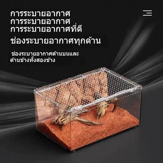 🦎ตู้เลี้ยงสัตว์เลื้อยคลานอะคริลิก ตู้ภูมิประเทศทะเลทราย ตู้น้ำบก สำหรับตุ๊กแก จิ้งจอก งู กบเขา เหมาะสัตว์ปีนต้นไม้ ตกแต่งระบบนิเวศ