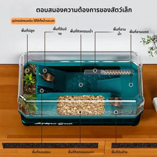 เต่าผสมพันธุ์กล่องเต่าถังครัวเรือนนิเวศวิทยาภูมิทัศน์กล่องในร่มและกลางแจ้งเต่าผสมพันธุ์กล่องวิลล่าอาทิตย์เทอเรสสะเทินน้ําสะเทินบกถังนิเวศวิทยา